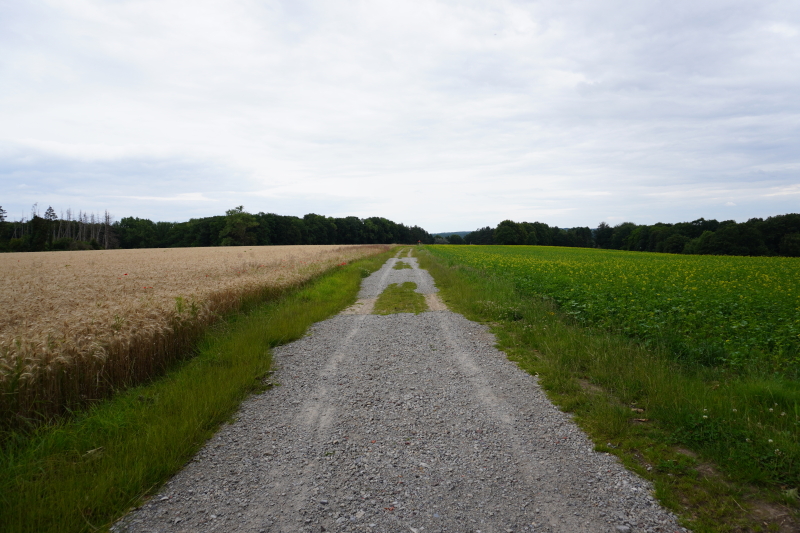 Gravellen in Vlaanderen