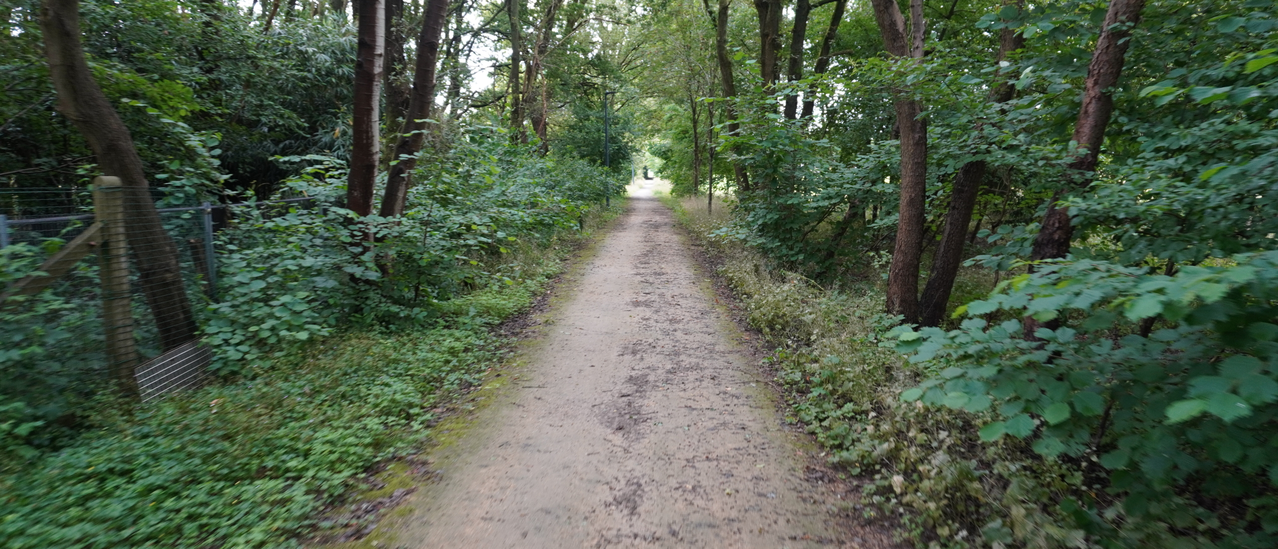 Gravellen vanuit Sven Nys Academy