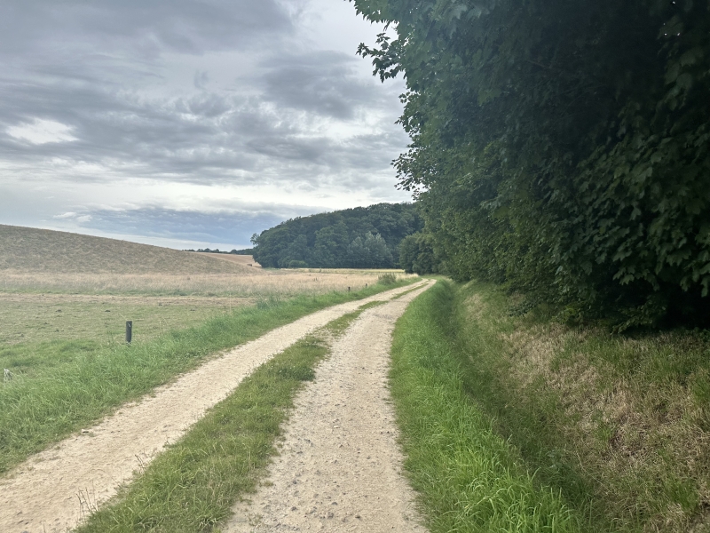 Gravellen in Vlaanderen