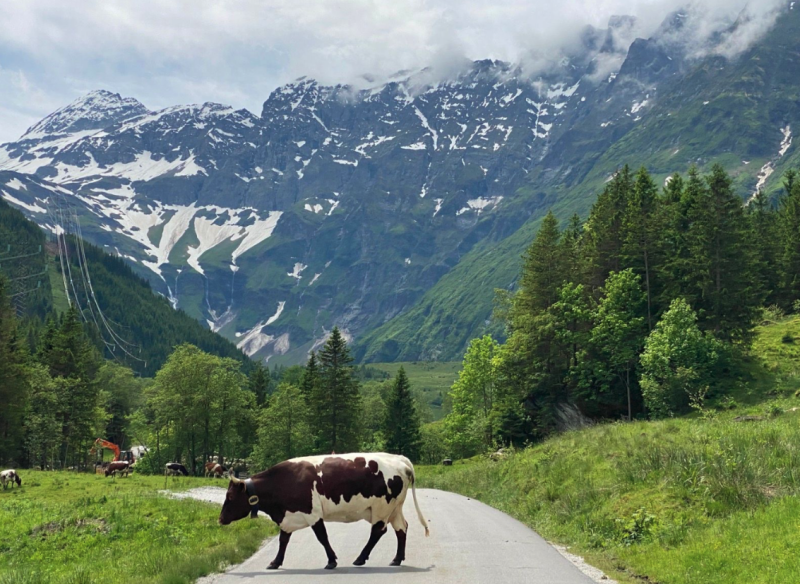 Fietsen in Oostenrijk