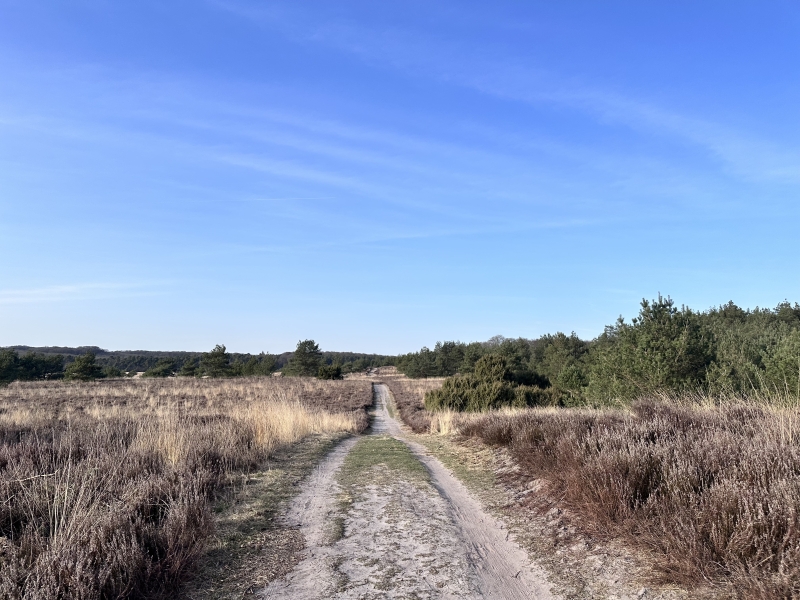 Fietsen op de Veluwe Fietsen op de Veluwe