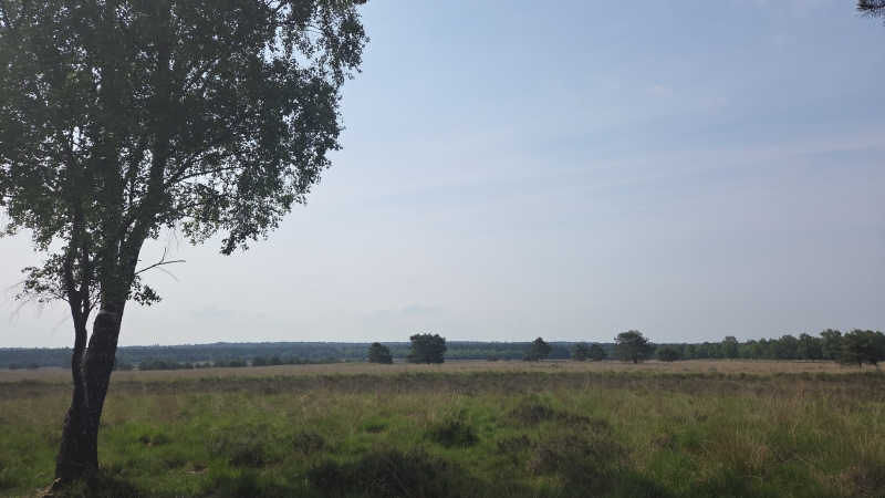 Fietsen Veluwe