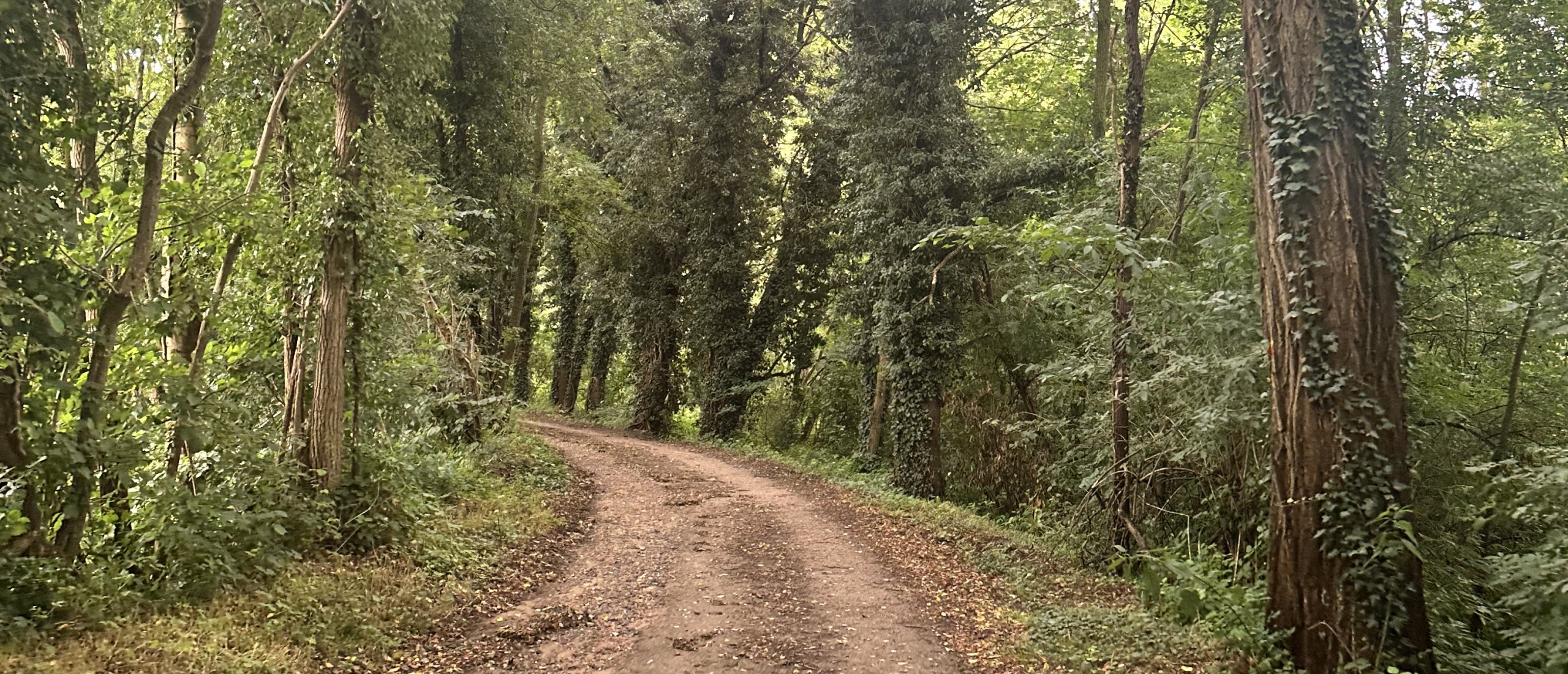 Op gravelverkenning in Vlaanderen voor het WK Gravel