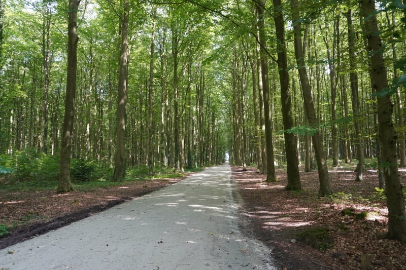 Gravellen in Vlaanderen