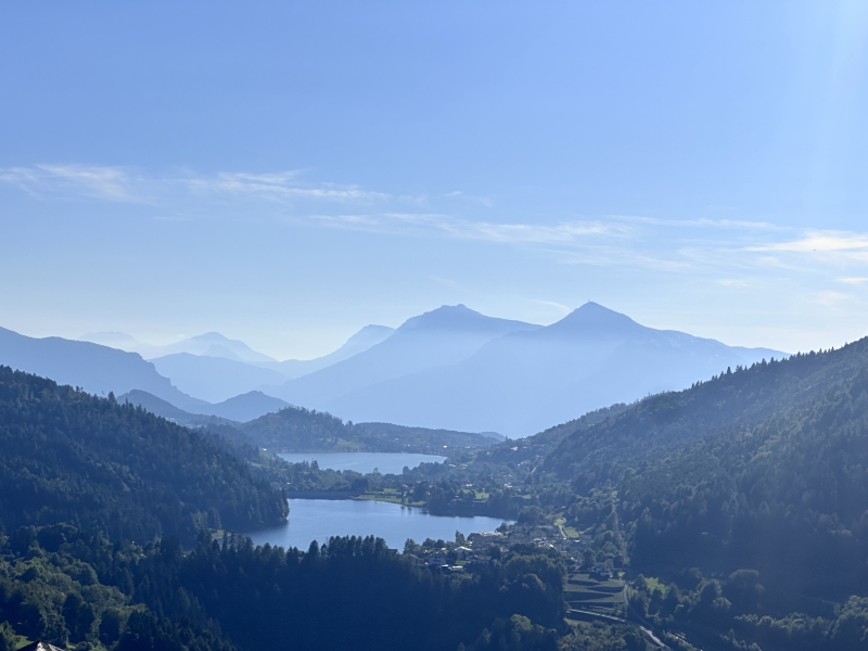 Hoogvlakte Pine Trentino