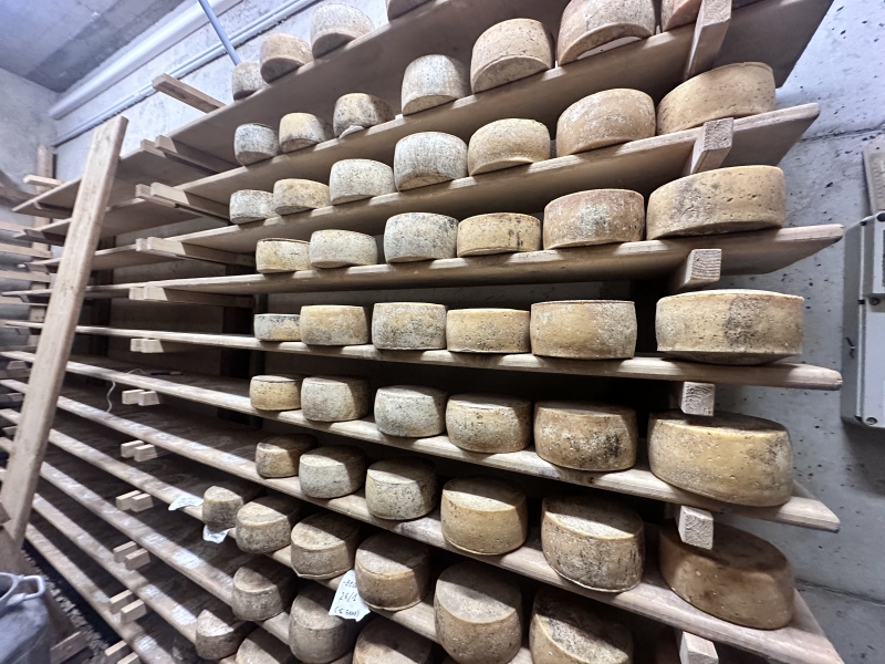 Kazen bij Azienda Agricola le Mandre