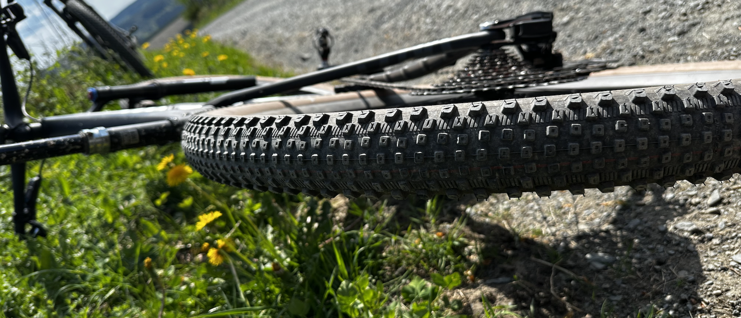 Profiel Schwalbe Rick XC Pro