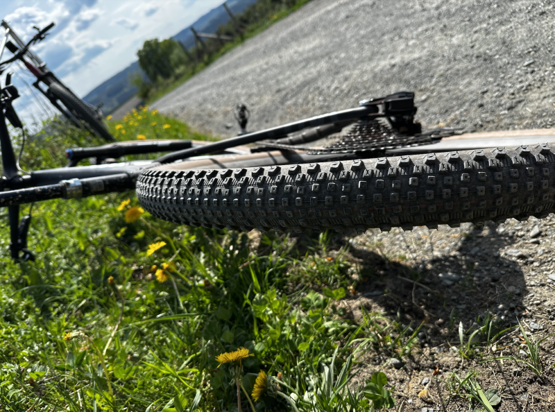 Profiel Schwalbe Rick XC Pro