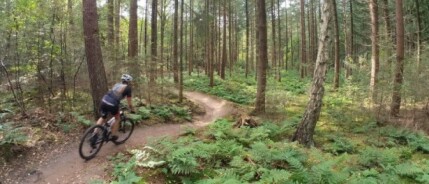 Gastblogger Marlies: feminist op de fiets