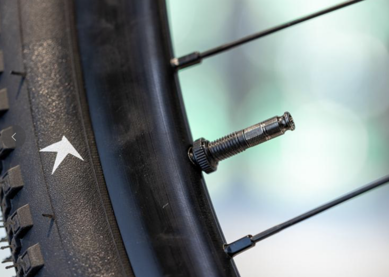 Review Schwalbe Click Valve