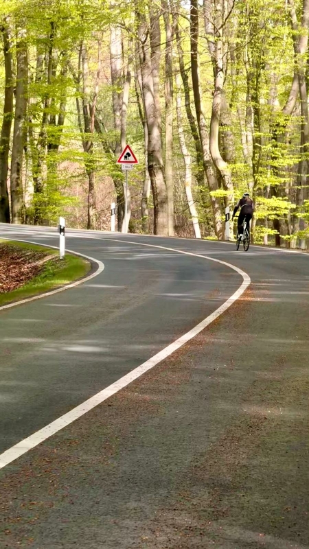Teutoborgerwald wielrennen