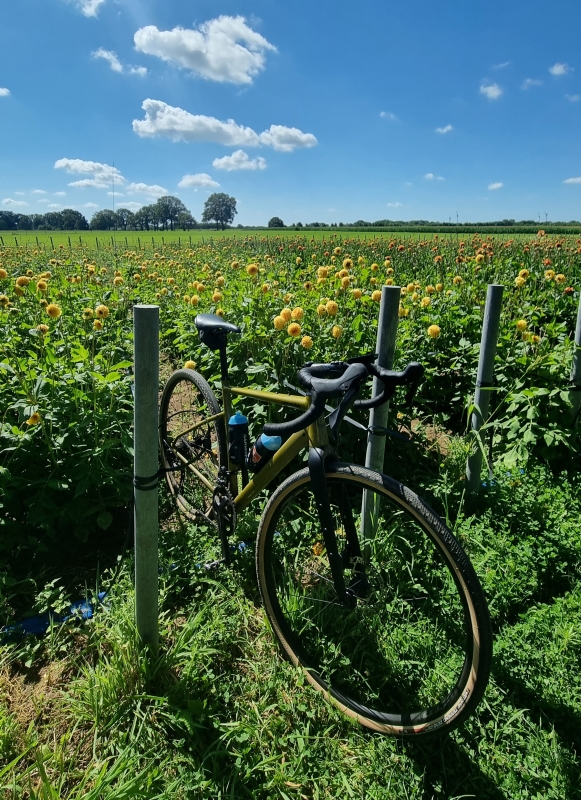 gravelbike bij dahlia's