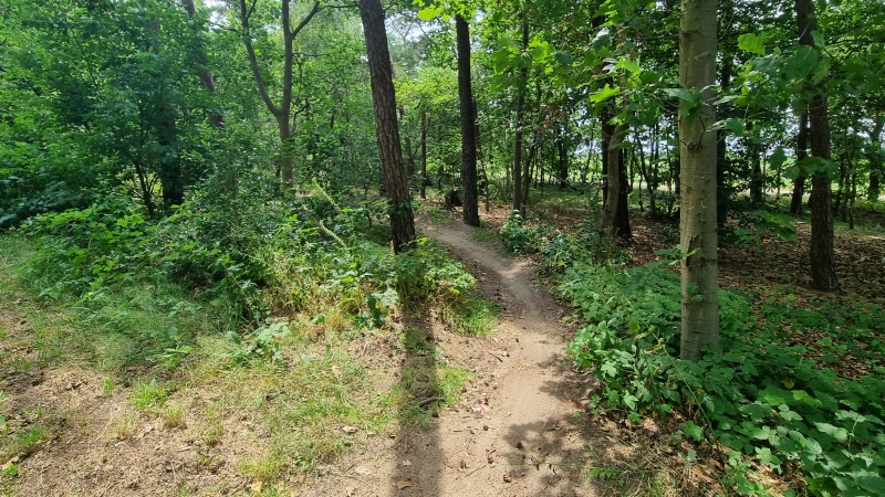 MTB Aalten West
