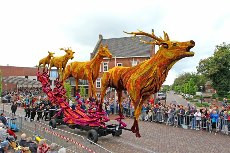 bloemencorso-lichtenvoorde-waterspiegeling-groep-rensing