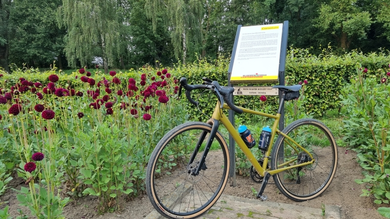 Dahliafietsroute Bloemencorso Lichtenvoorde