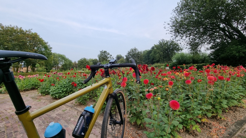 Corsotuin Bloemencorso Lichtenvoorde