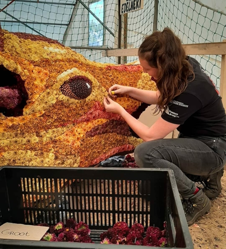 Bloemenplakken Bloemencorso Lichtenvoorde