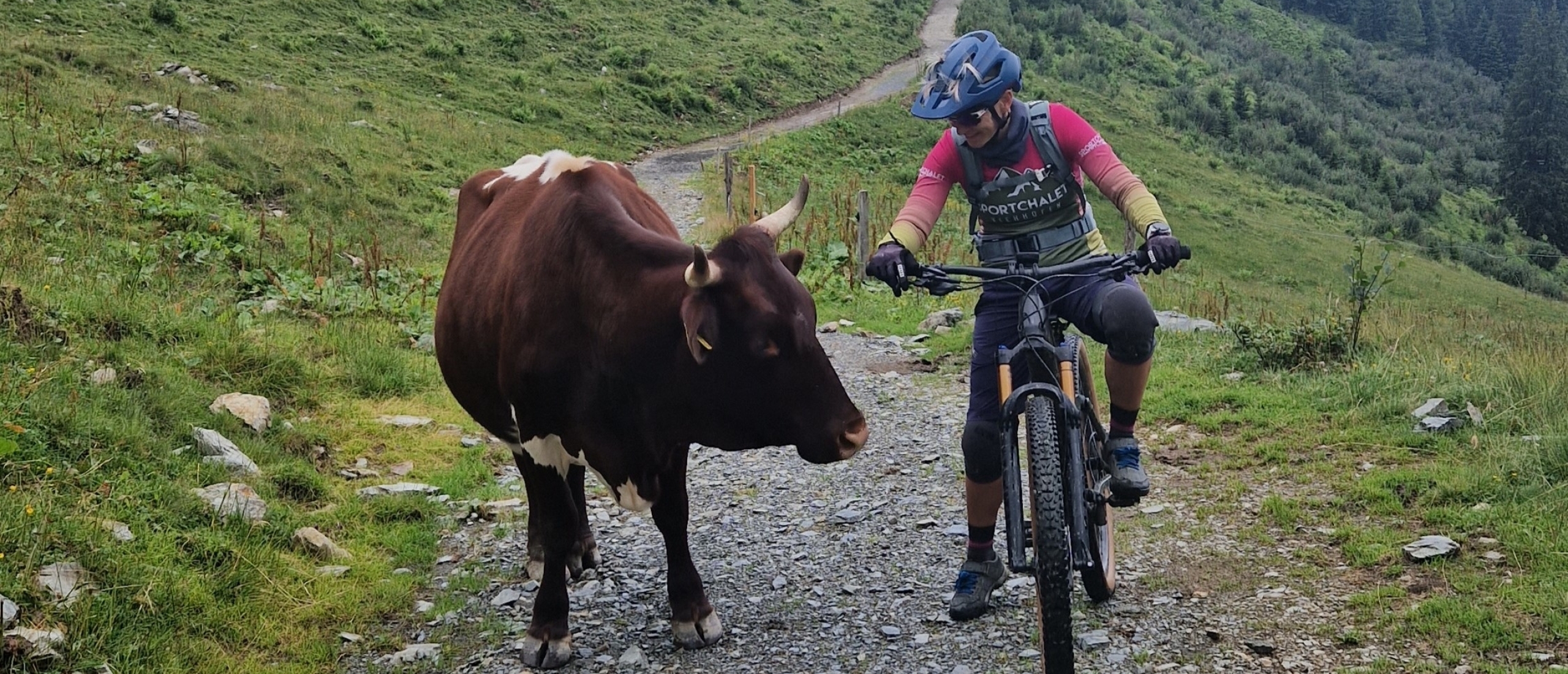 mountainbiken-in-de-alpen-routeplanning