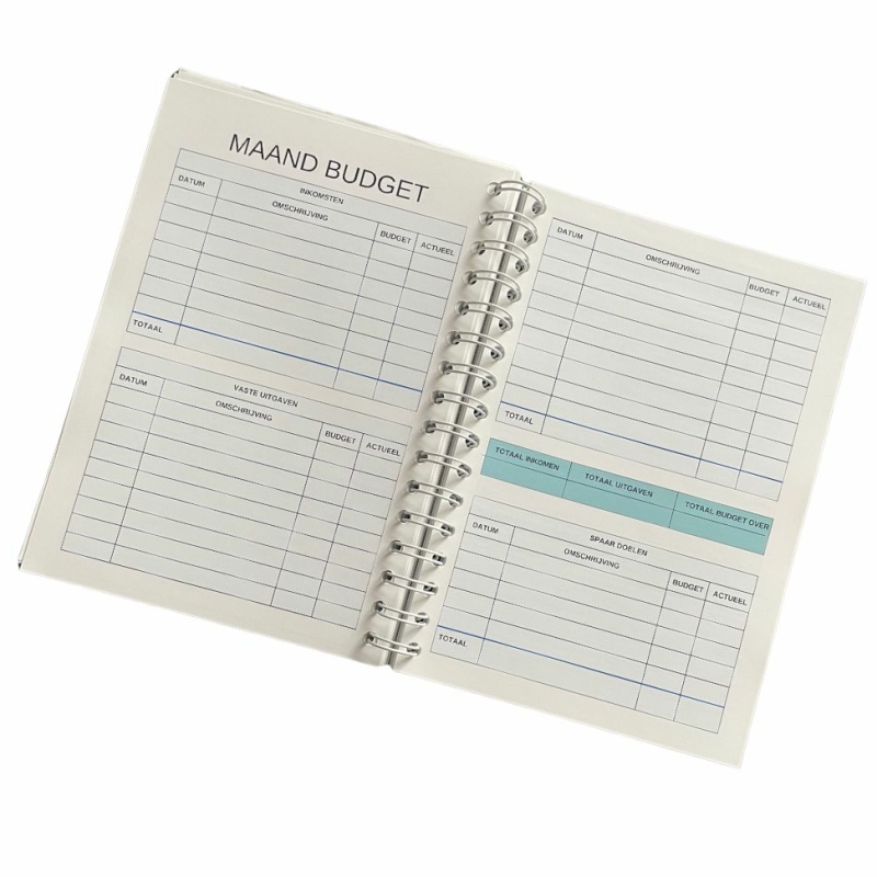 Open budgetplanner met maandoverzicht voor inkomsten, uitgaven en spaardoelen.