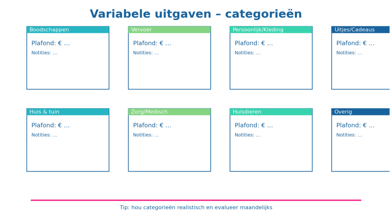 Overzicht variabele uitgaven categorieën met budgetplafond per categorie. Overzicht variabele uitgaven categorieën met budgetplafond per categorie.