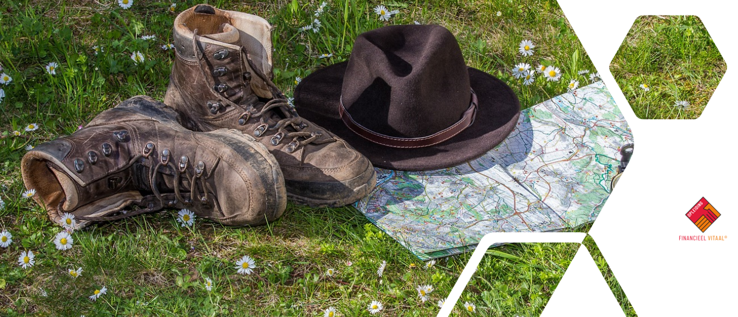 Financieel Vitaal Connect