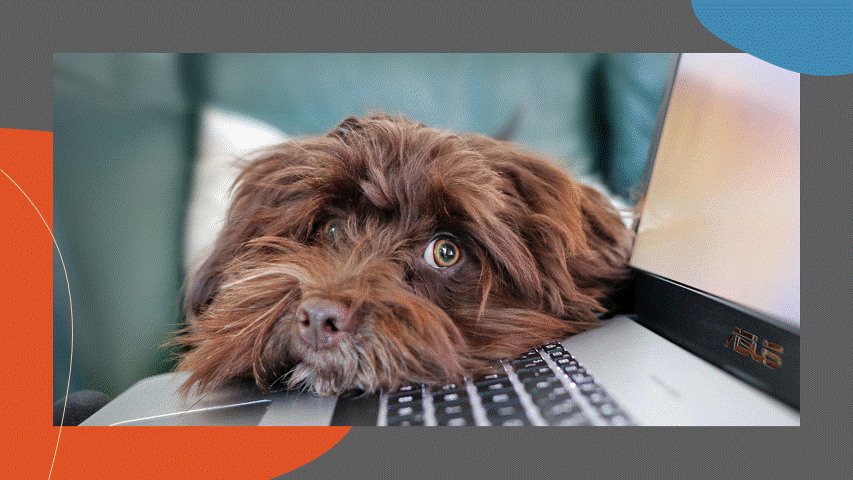 Wat doen we toch gek als het om geld gaat