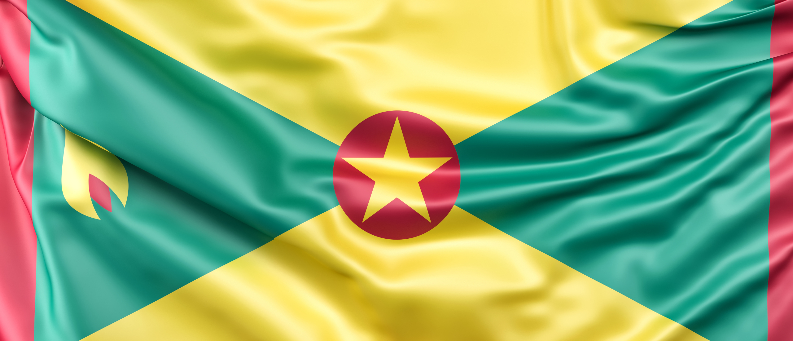 Step-by-step plan Grenada Certificate of Character application