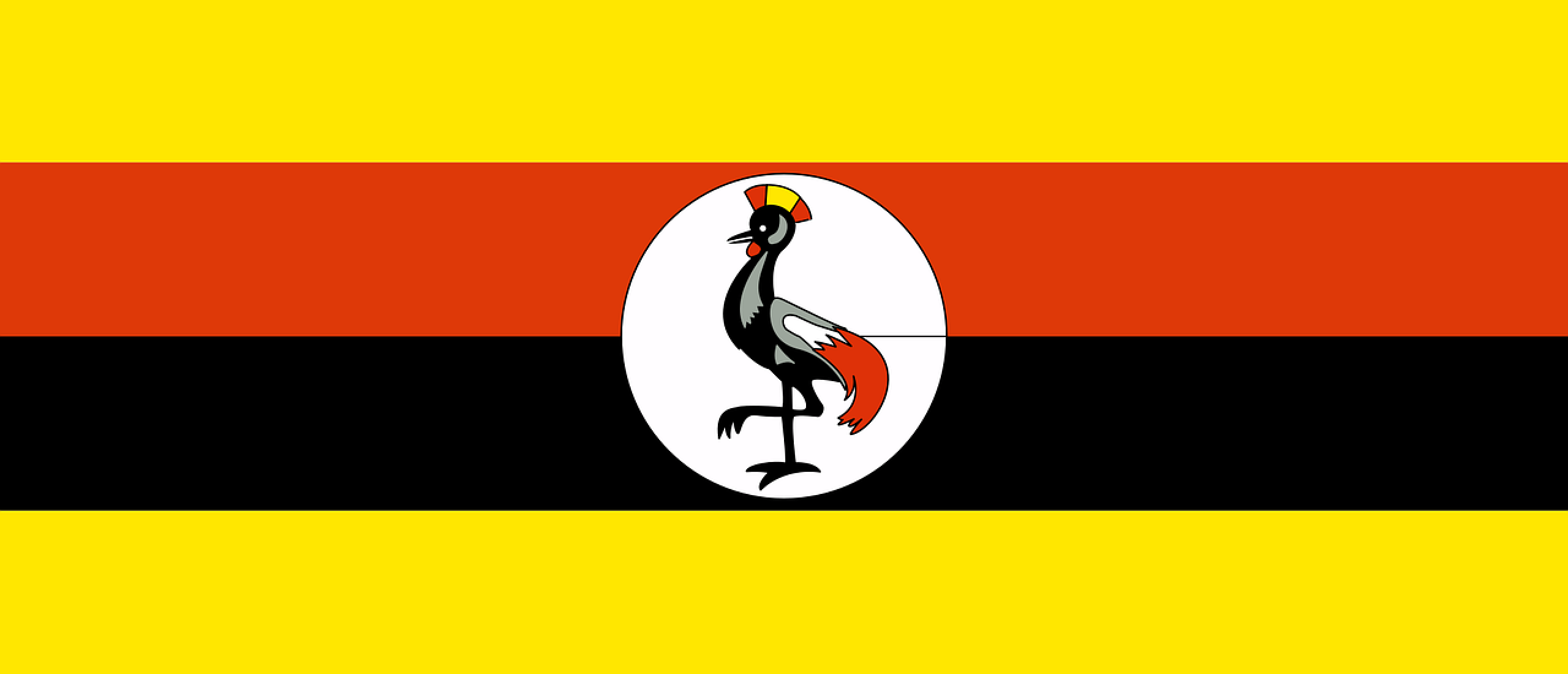Step-by-step plan Uganda PCC