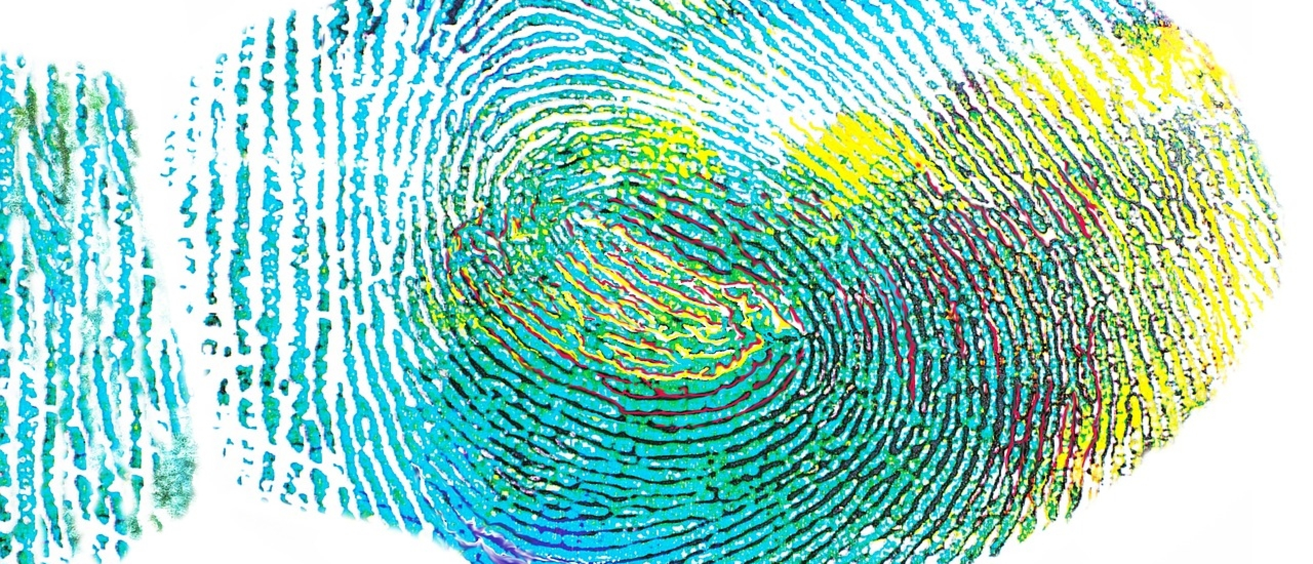 fingerprint