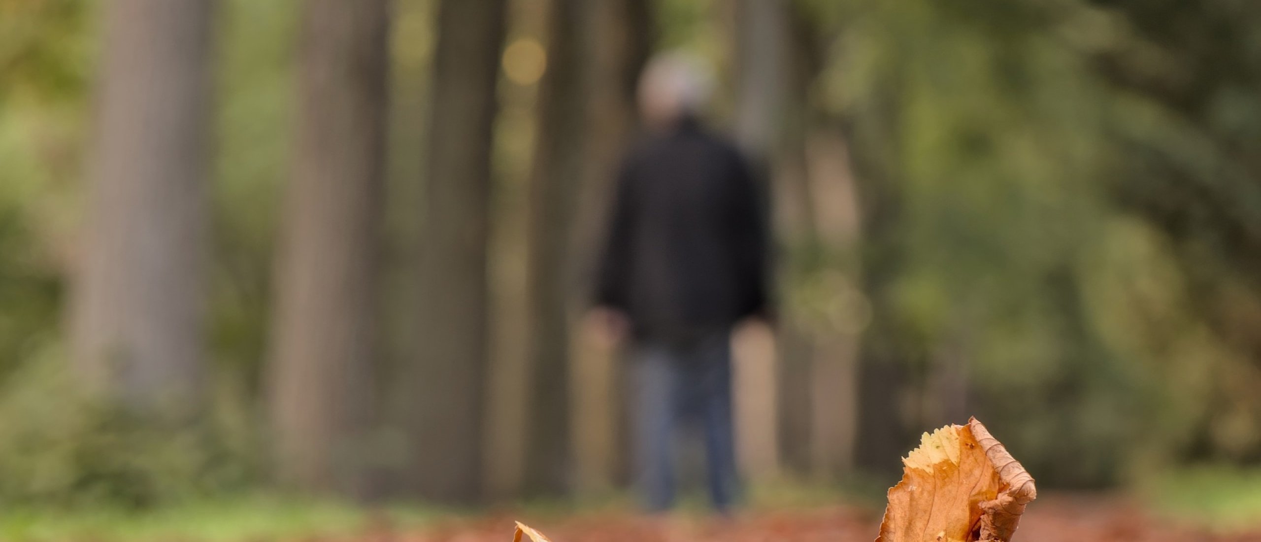 Hulp bij het Verwerken van Rouw na Verlies