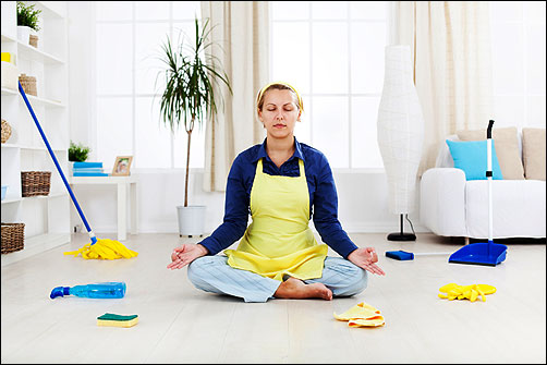 iSpring_Cleaning_Med