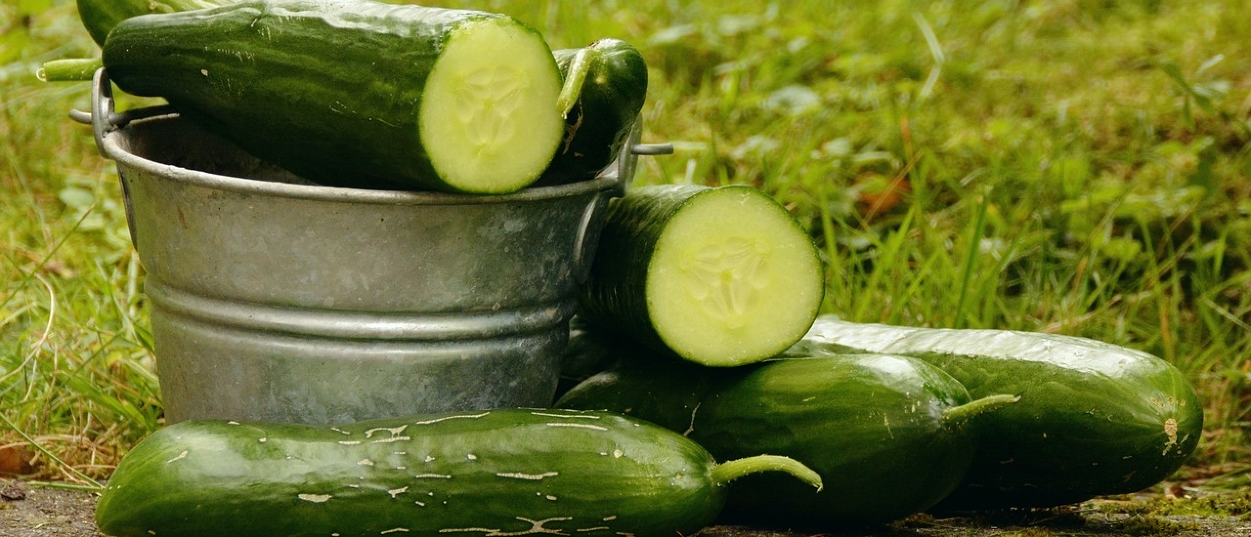 Foodhack: Snel komkommer in blokjes snijden