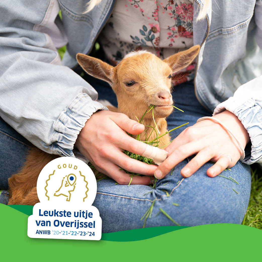 Heerlijk knuffelen op de kinderboerderij