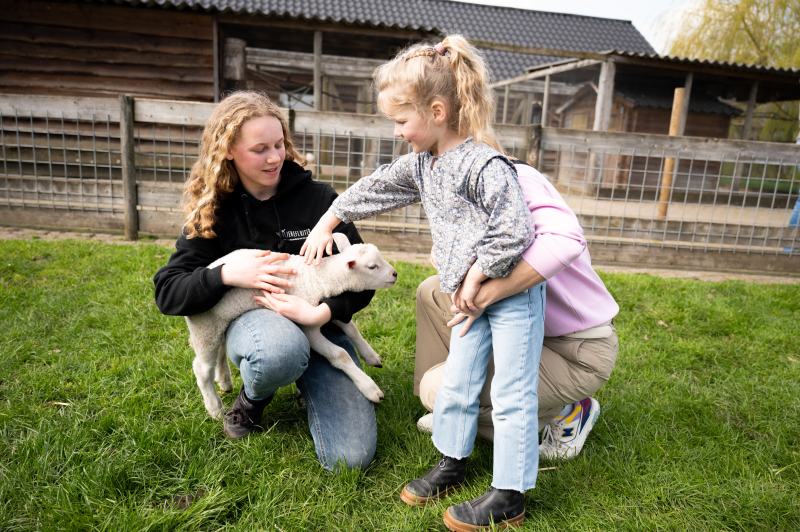 Lammetjes knuffelen