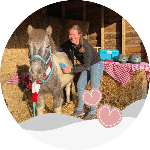 Pony verwenmomentjes op speelboerderij de Flierefluiter