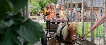 Voordelig een dagje er tussenuit in de Bouwvak? Kom naar de Flierefluiter!