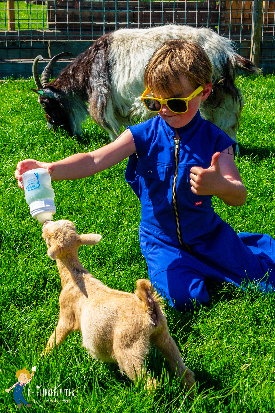De leukste kinderboerderij vind je in Raalte