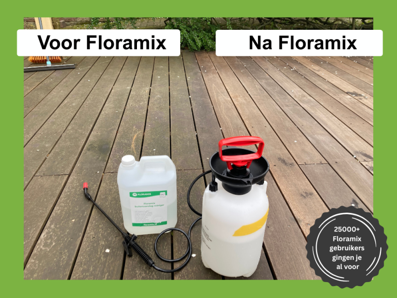 Algen verwijderen Algen verwijderen