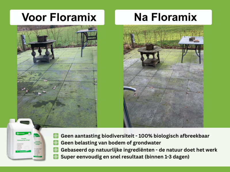 Groene aanslag verwijderen met een middel van de Action