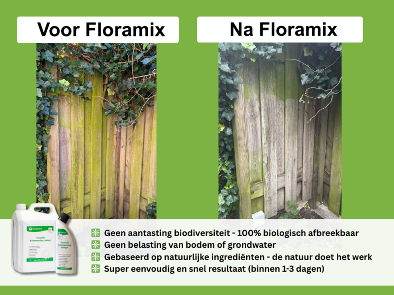 Groene aanslag verwijderen op hout Groene aanslag verwijderen op hout