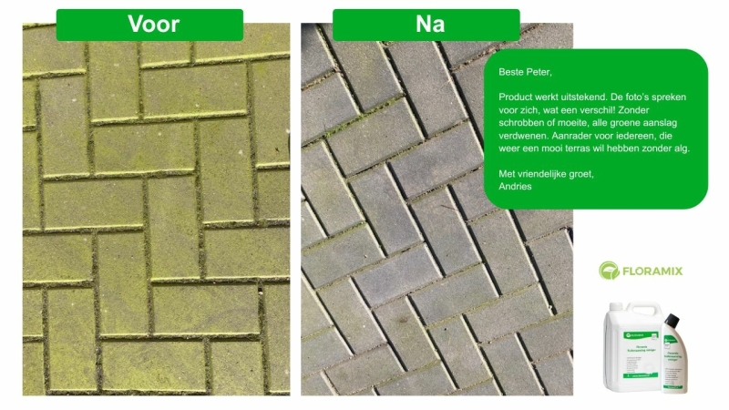 Groene aanslag verwijderen op tegels (9 tips) Groene aanslag verwijderen op tegels (9 tips)