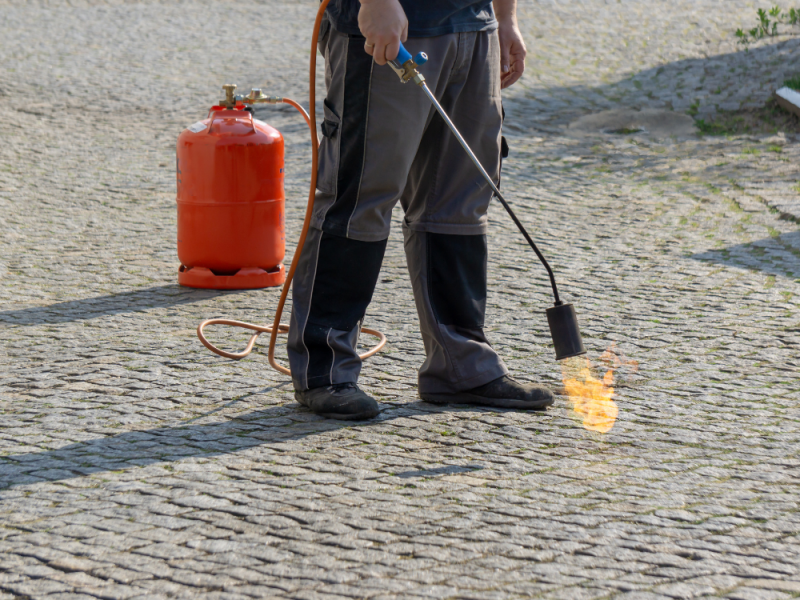 Keukenmiddeltjes tegen onkruid wanneer een brander gebruiken