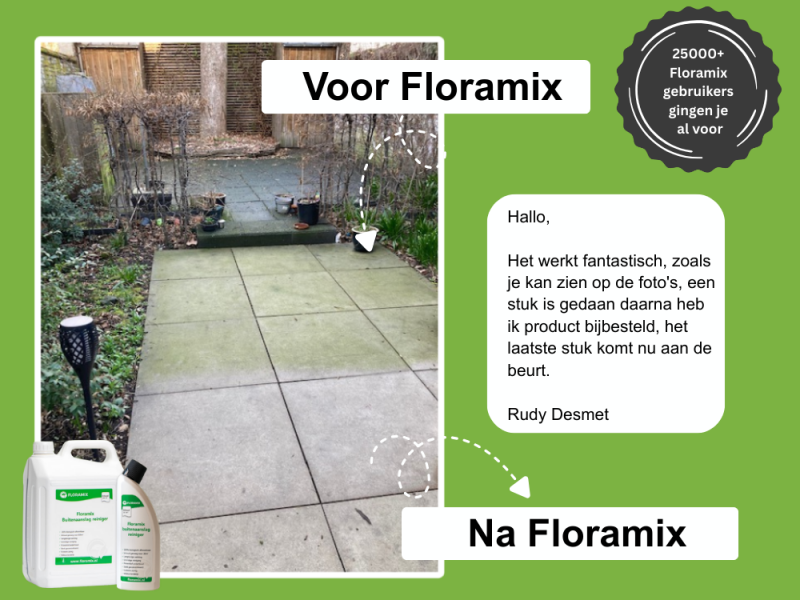 Manieren om algen te verwijderen Manieren om algen te verwijderen