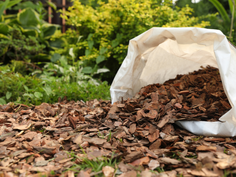 Mulchen tegen onkruid met houtsnippers