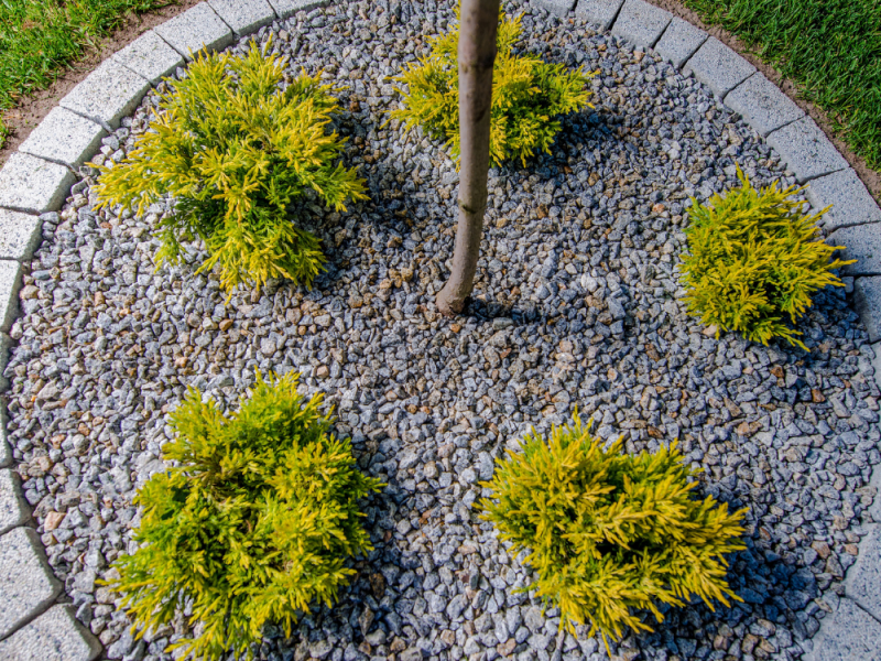 Onkruid voorkomen kan dat