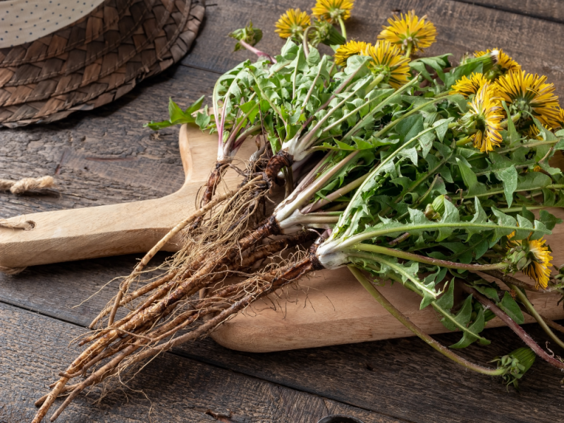 Onkruid wieden welk gereedschap kun je gebruiken voor onkruid met penwortel