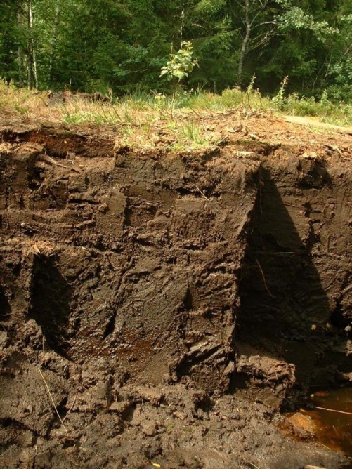 Bodemonderzoek Bodemonderzoek