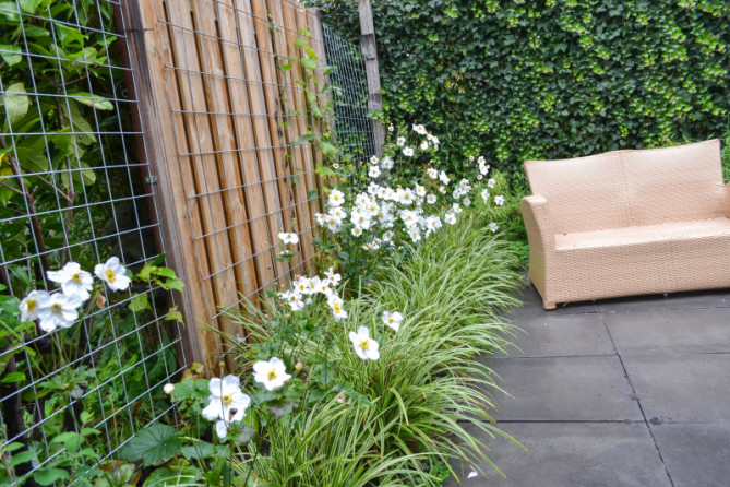 Erfafscheiding gaas Erfafscheiding gaas