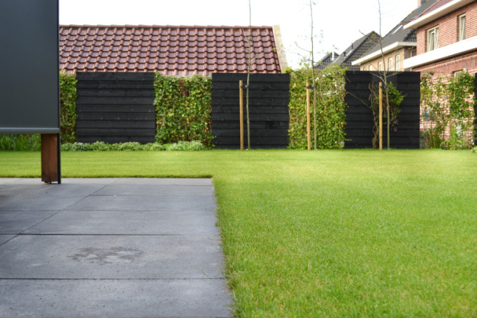 Graszoden in tuin Graszoden in tuin