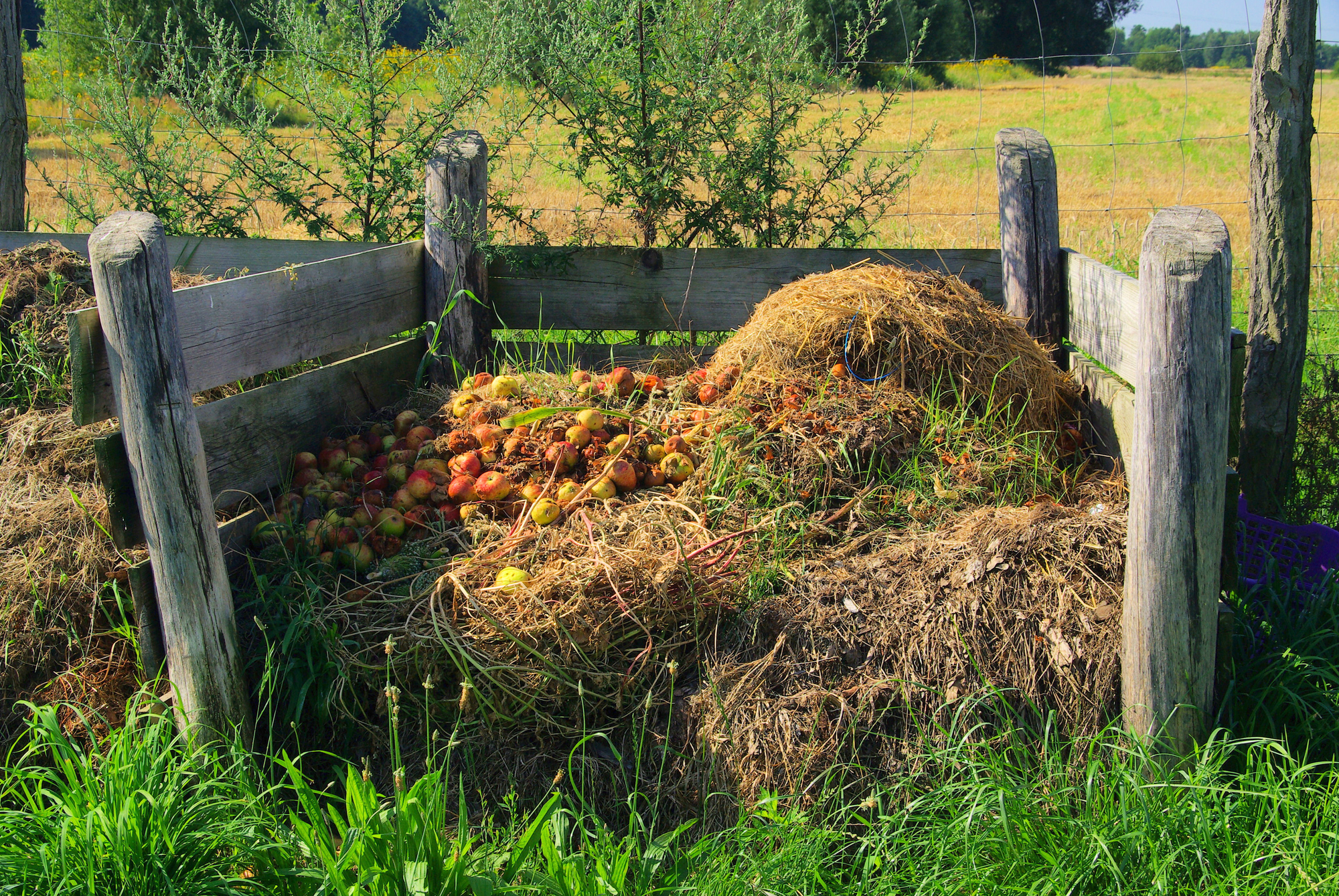 Compost of mest? Dit is het verschil... Compost of mest? Dit is het verschil...